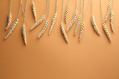 Photo of Many wheat spikes on golden background, flat lay. Space for text