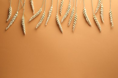 Photo of Many wheat spikes on golden background, flat lay. Space for text
