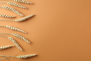 Photo of Many wheat spikes on golden background, flat lay. Space for text