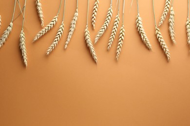 Photo of Many wheat spikes on golden background, flat lay. Space for text