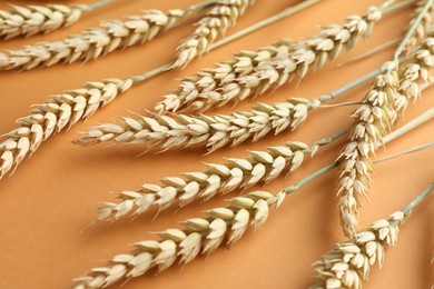 Photo of Many wheat spikes on golden background, closeup