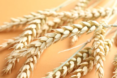 Photo of Many wheat spikes on golden background, closeup