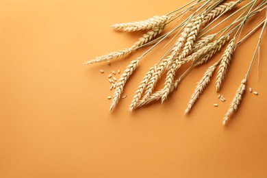 Photo of Many wheat spikes and seeds on golden background, flat lay. Space for text