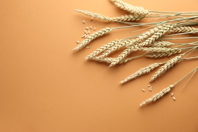 Photo of Many wheat spikes and seeds on golden background, flat lay. Space for text