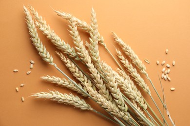 Photo of Many wheat spikes and seeds on golden background, flat lay