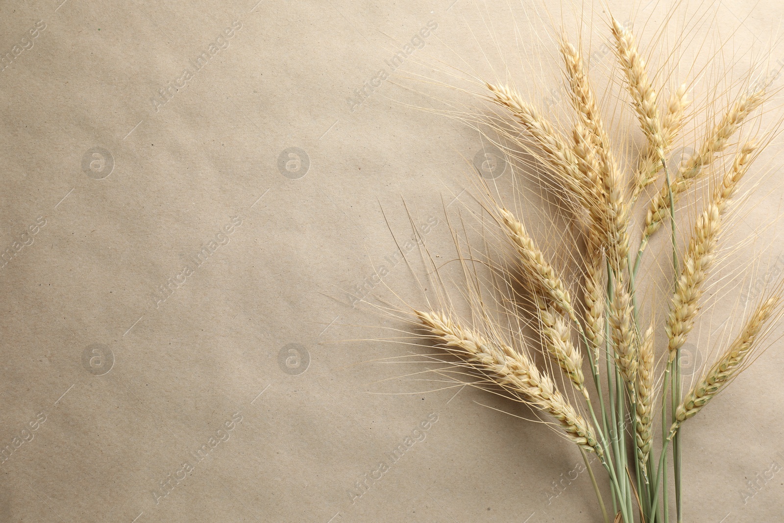 Photo of Many wheat spikes on paper background, flat lay. Space for text