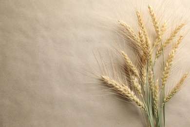 Photo of Many wheat spikes on paper background, flat lay. Space for text