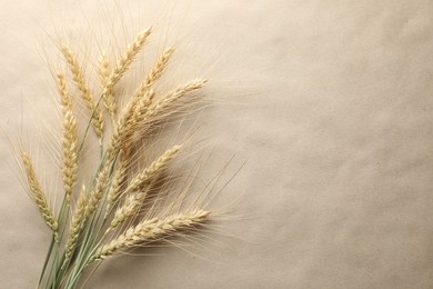 Photo of Many wheat spikes on paper background, flat lay. Space for text