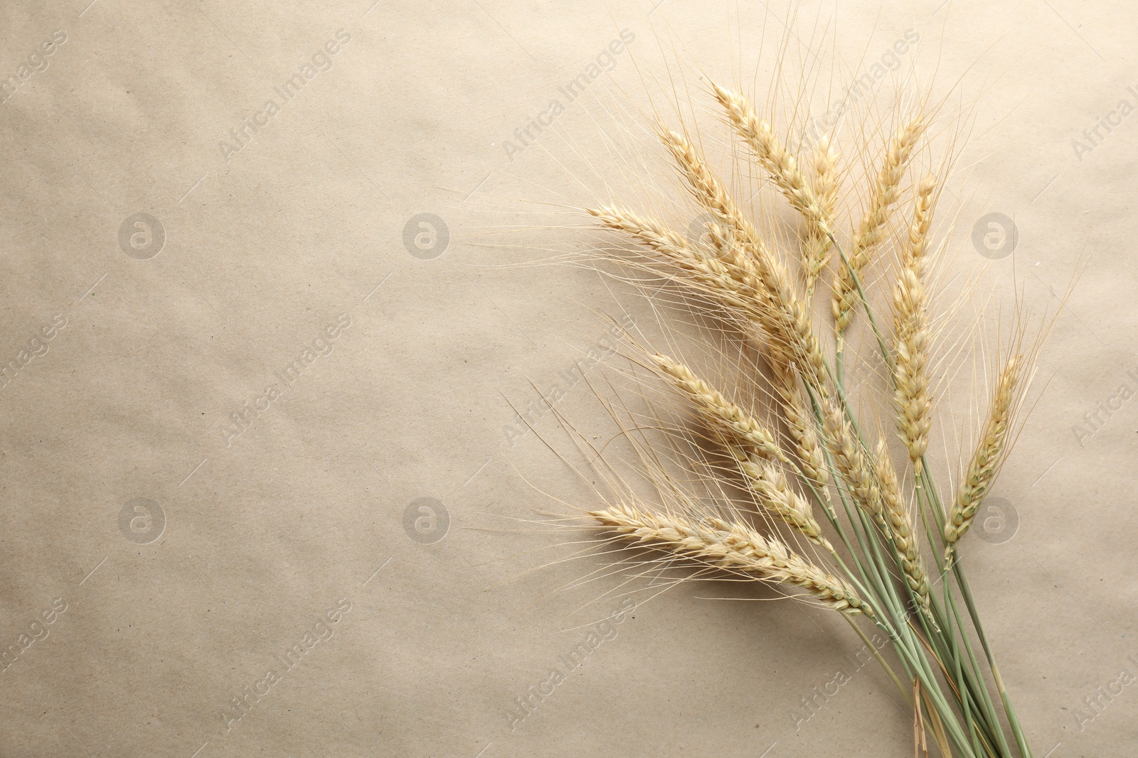 Photo of Many wheat spikes on paper background, flat lay. Space for text