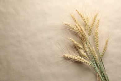 Photo of Many wheat spikes on paper background, flat lay. Space for text