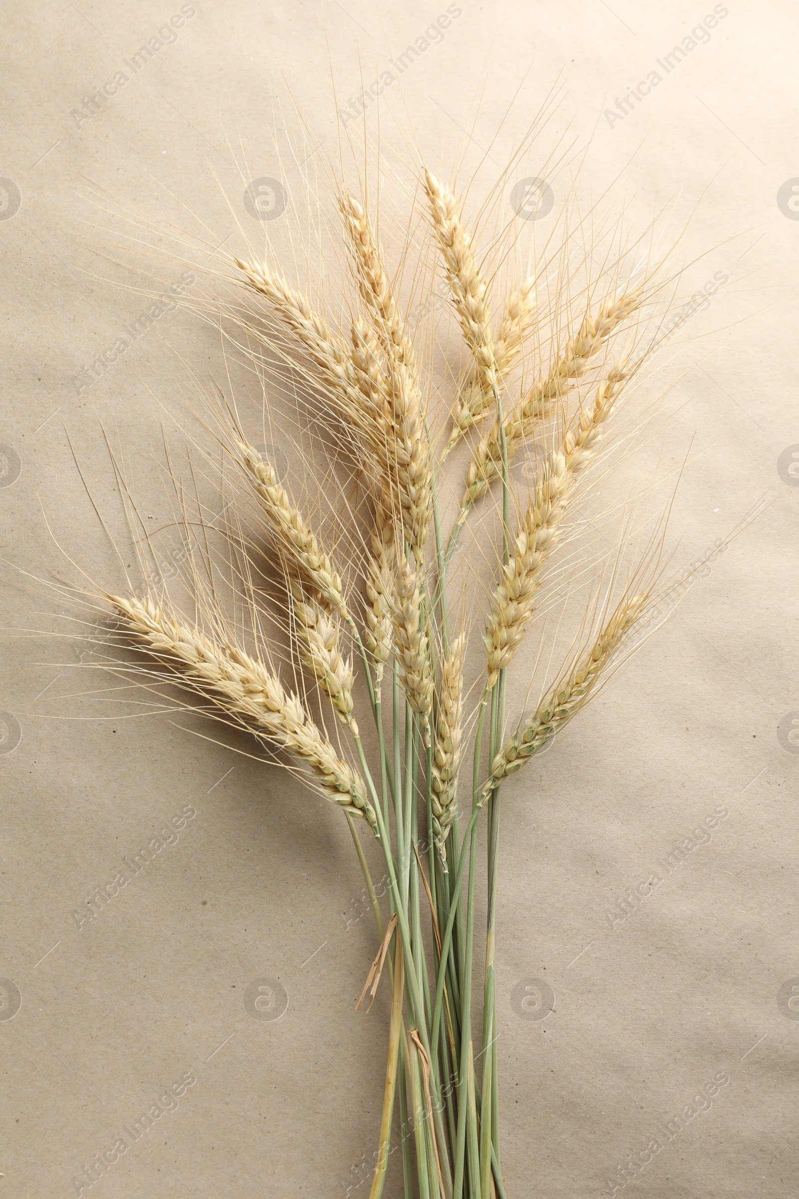 Photo of Many wheat spikes on paper background, flat lay