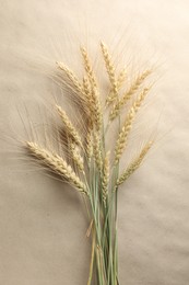 Photo of Many wheat spikes on paper background, flat lay