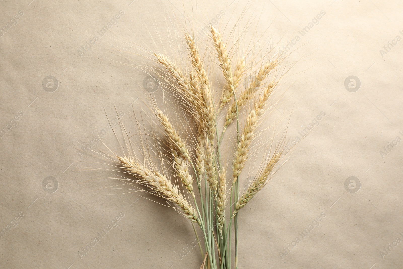 Many wheat spikes on paper background, flat lay Photo of Many wheat spikes on paper background, flat lay
