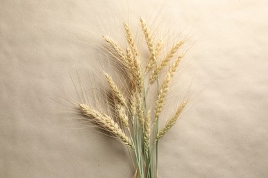 Photo of Many wheat spikes on paper background, flat lay