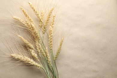 Photo of Many wheat spikes on paper background, flat lay. Space for text