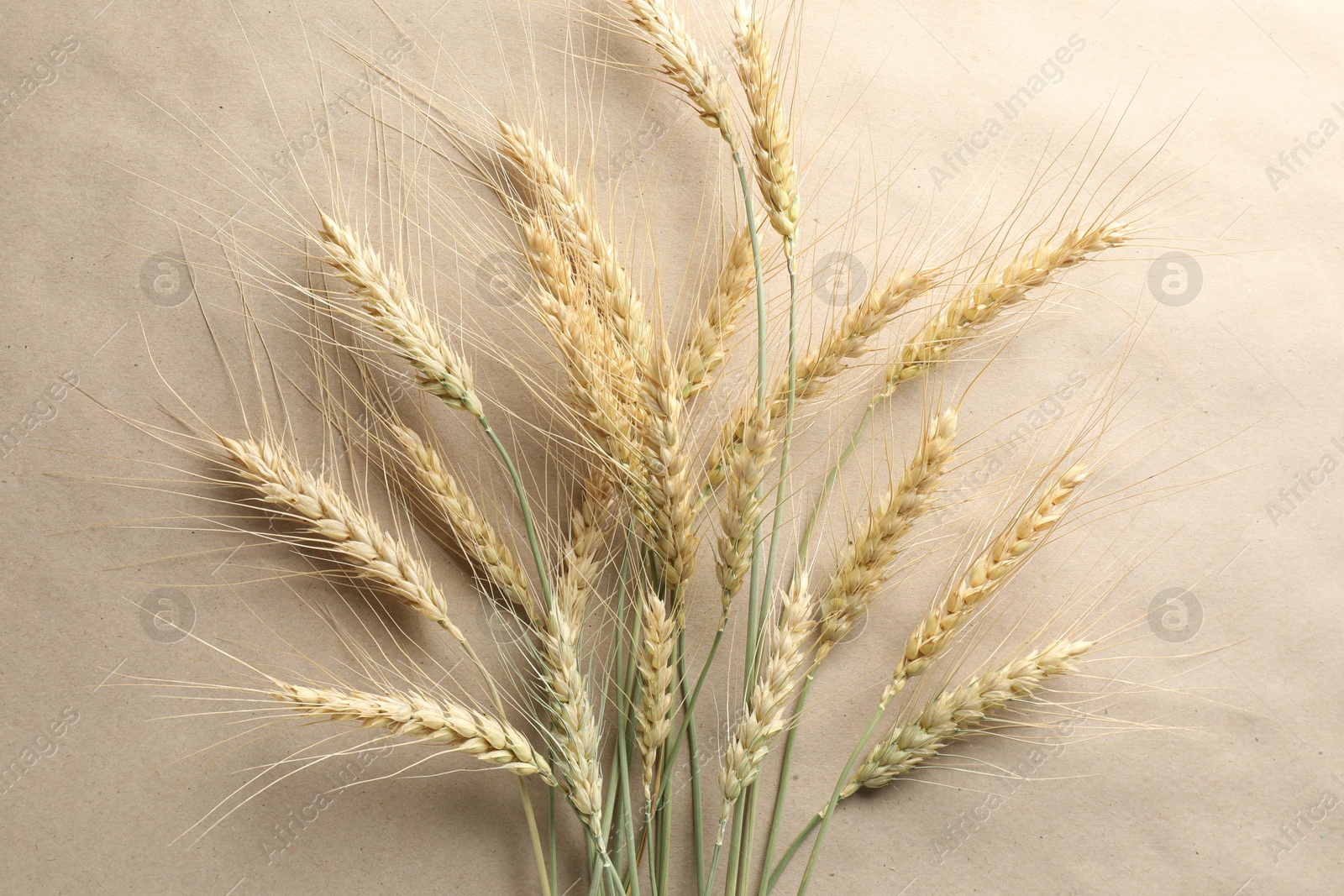 Photo of Many wheat spikes on paper background, flat lay