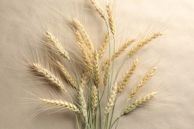 Photo of Many wheat spikes on paper background, flat lay