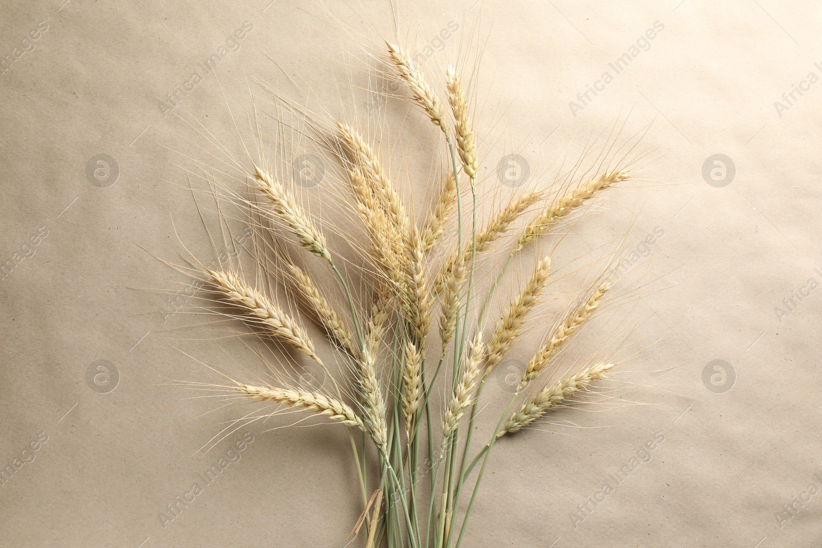 Photo of Many wheat spikes on paper background, flat lay
