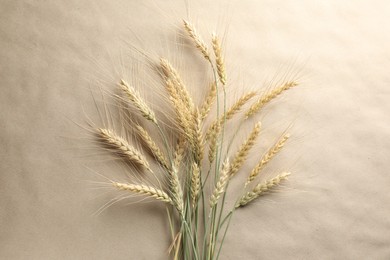 Photo of Many wheat spikes on paper background, flat lay