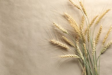 Photo of Many wheat spikes on paper background, flat lay. Space for text