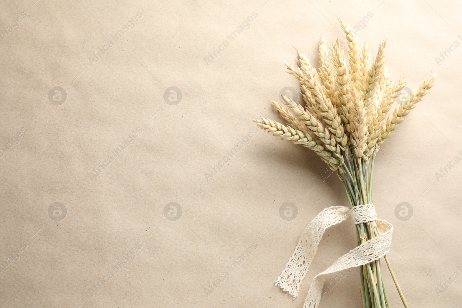 Photo of Bunch of wheat spikes on paper background, top view. Space for text