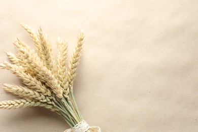 Photo of Bunch of wheat spikes on paper background, top view. Space for text