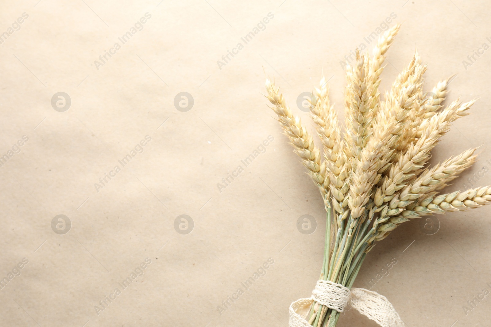 Photo of Bunch of wheat spikes on paper background, top view. Space for text