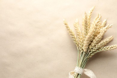 Photo of Bunch of wheat spikes on paper background, top view. Space for text