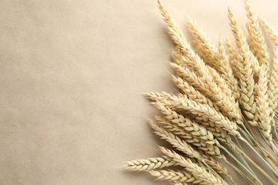 Photo of Many wheat spikes on paper background, flat lay. Space for text