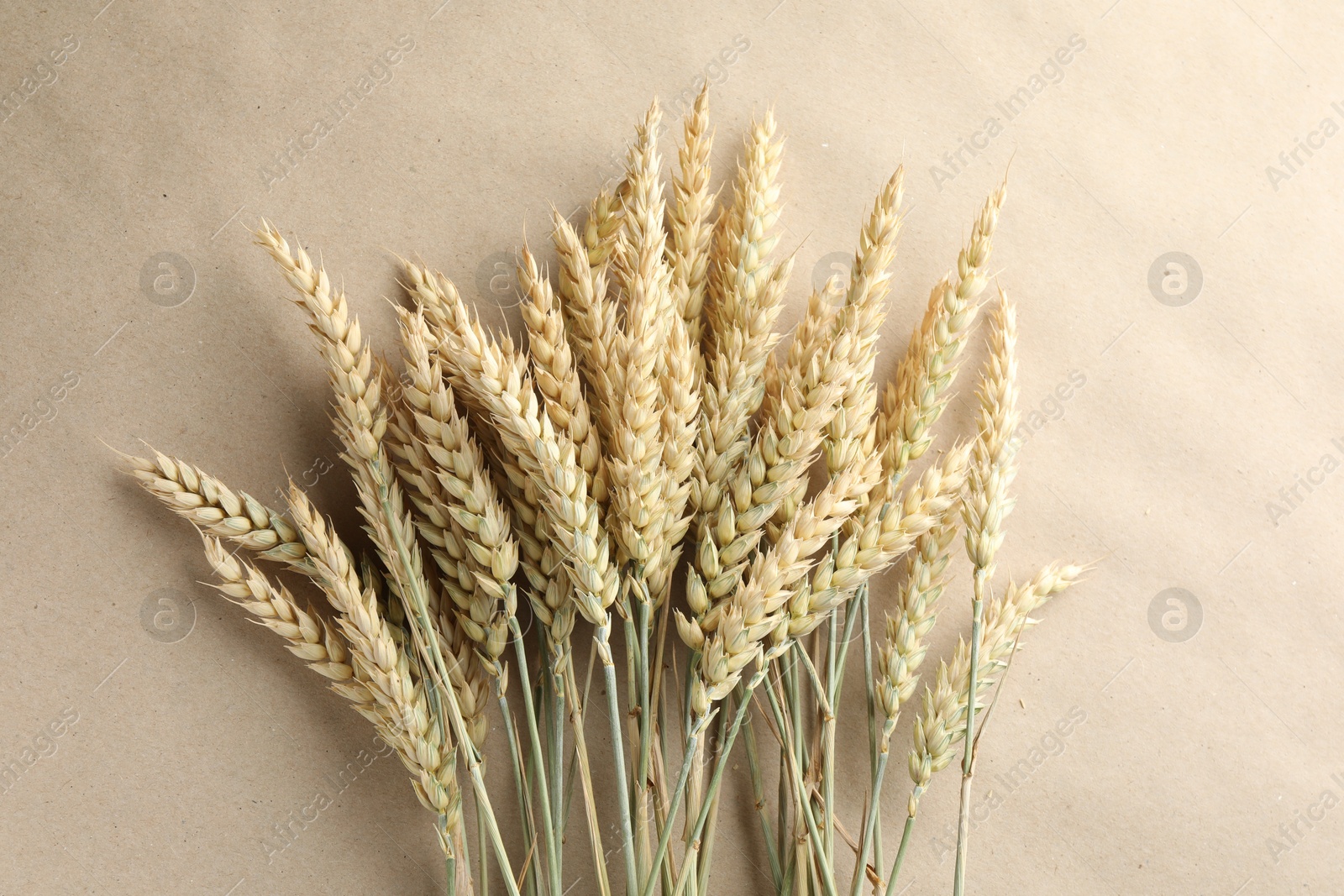 Photo of Many wheat spikes on paper background, flat lay