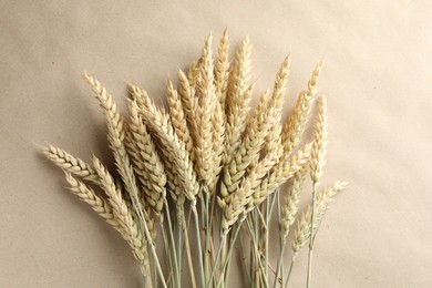 Photo of Many wheat spikes on paper background, flat lay