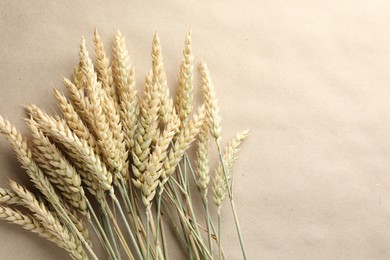 Photo of Many wheat spikes on paper background, flat lay. Space for text