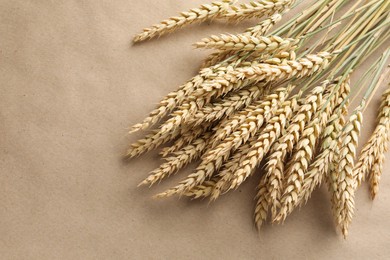 Photo of Many wheat spikes on paper background, above view. Space for text