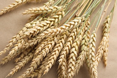Photo of Many wheat spikes on paper background, closeup