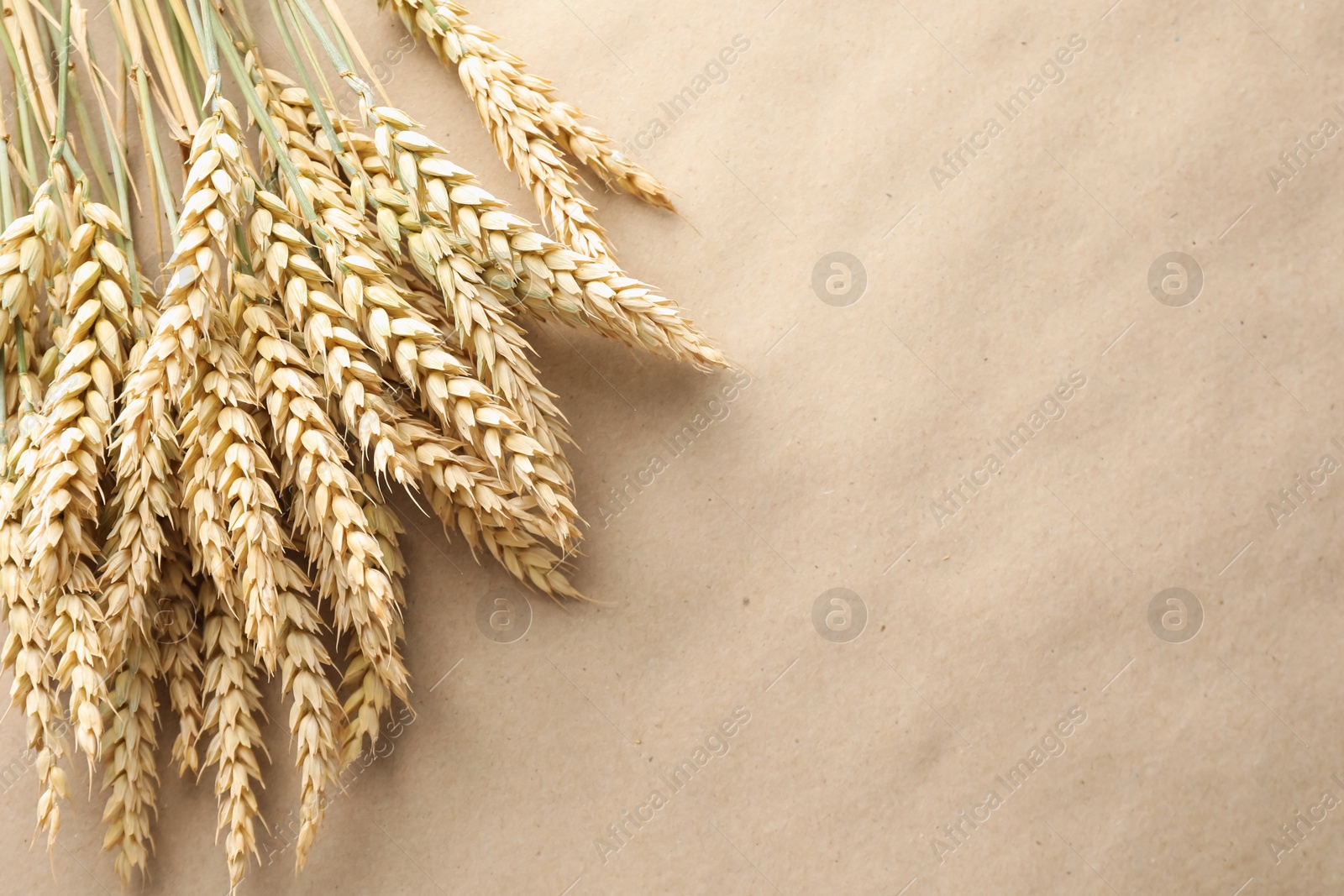 Many wheat spikes on paper background, above view. Space for text Photo of Many wheat spikes on paper background, above view. Space for text