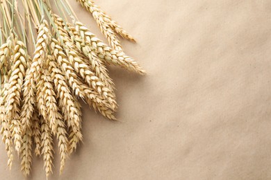 Photo of Many wheat spikes on paper background, above view. Space for text