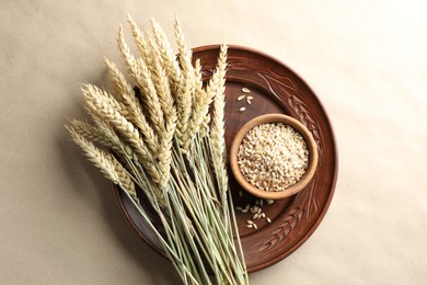 Photo of Many wheat spikes and seeds on paper background, top view