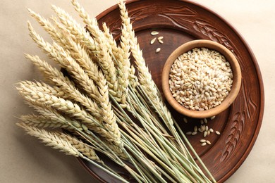 Photo of Many wheat spikes and seeds on paper background, top view
