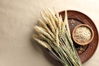 Photo of Many wheat spikes and seeds on paper background, top view. Space for text