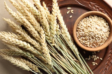 Photo of Many wheat spikes and seeds on paper background, top view