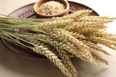 Photo of Many wheat spikes on paper background, closeup