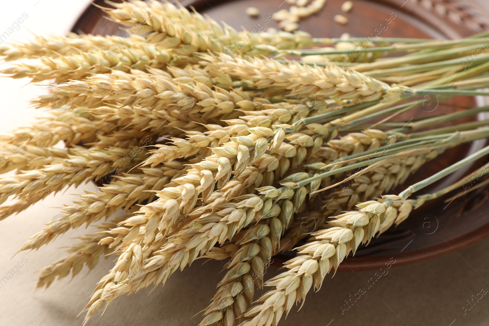 Photo of Many wheat spikes on paper background, closeup