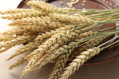 Photo of Many wheat spikes on paper background, closeup