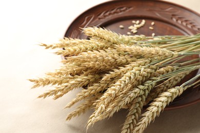 Photo of Many wheat spikes on paper background, closeup