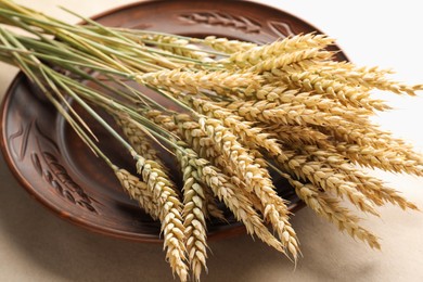 Photo of Many wheat spikes on paper background, closeup