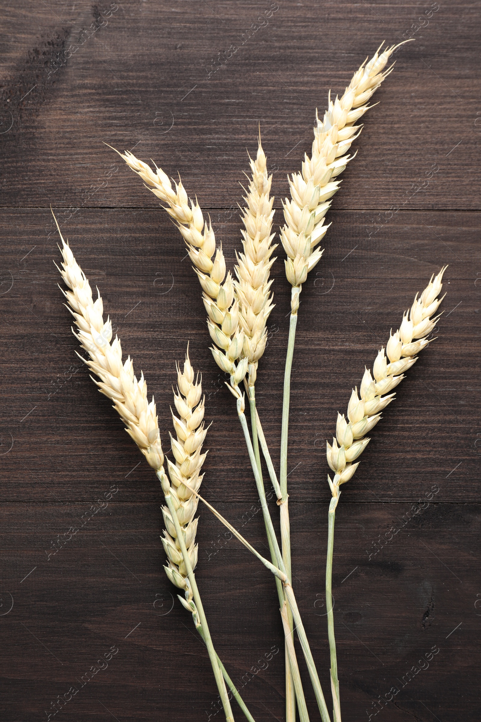 Photo of Many wheat spikes on wooden table, flat lay