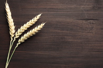 Photo of Wheat spikes on wooden table, flat lay. Space for text