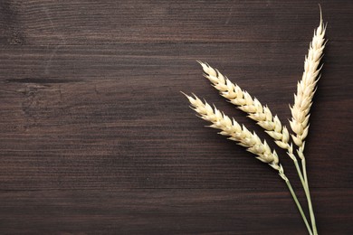 Photo of Wheat spikes on wooden table, flat lay. Space for text