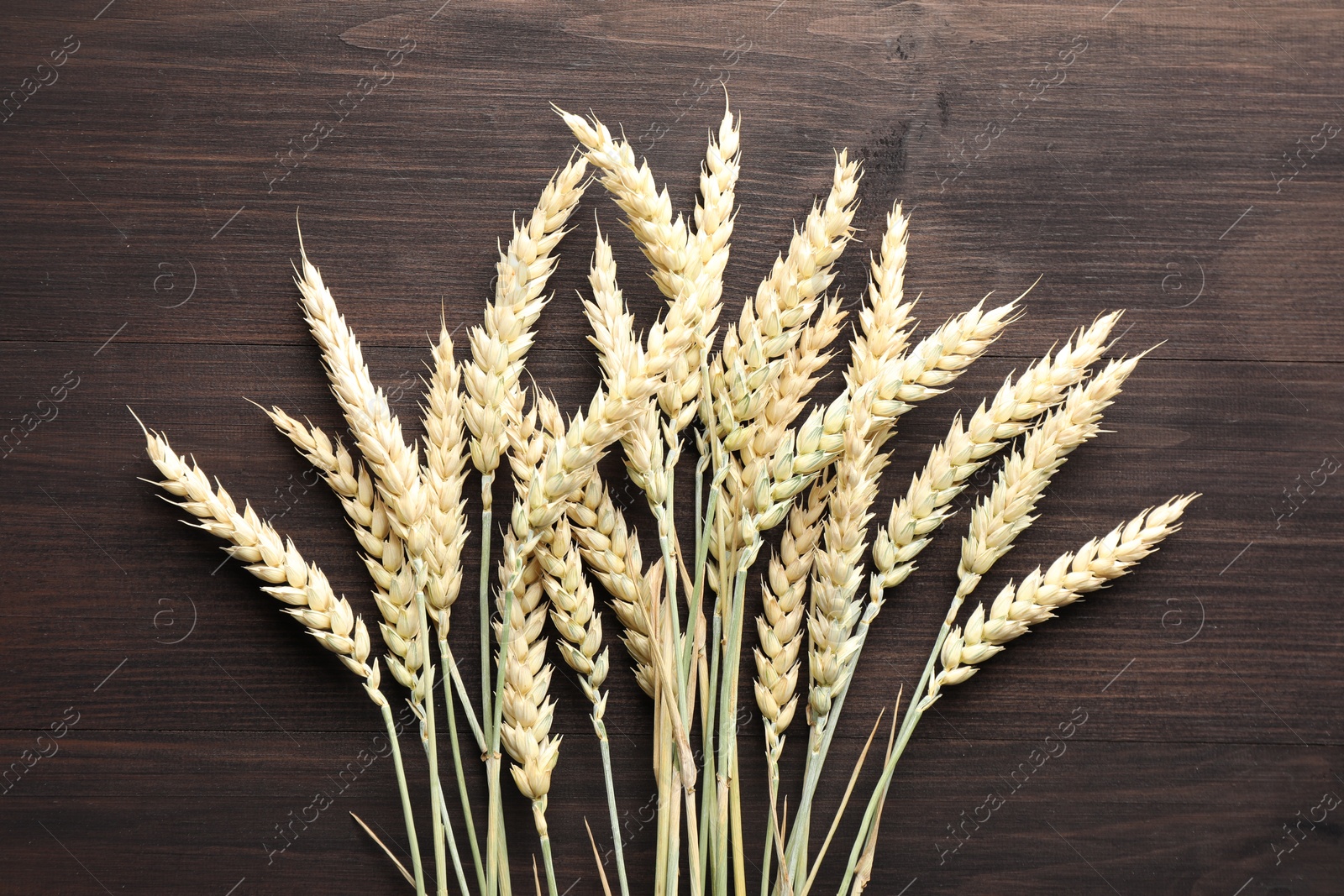 Photo of Many wheat spikes on wooden table, flat lay