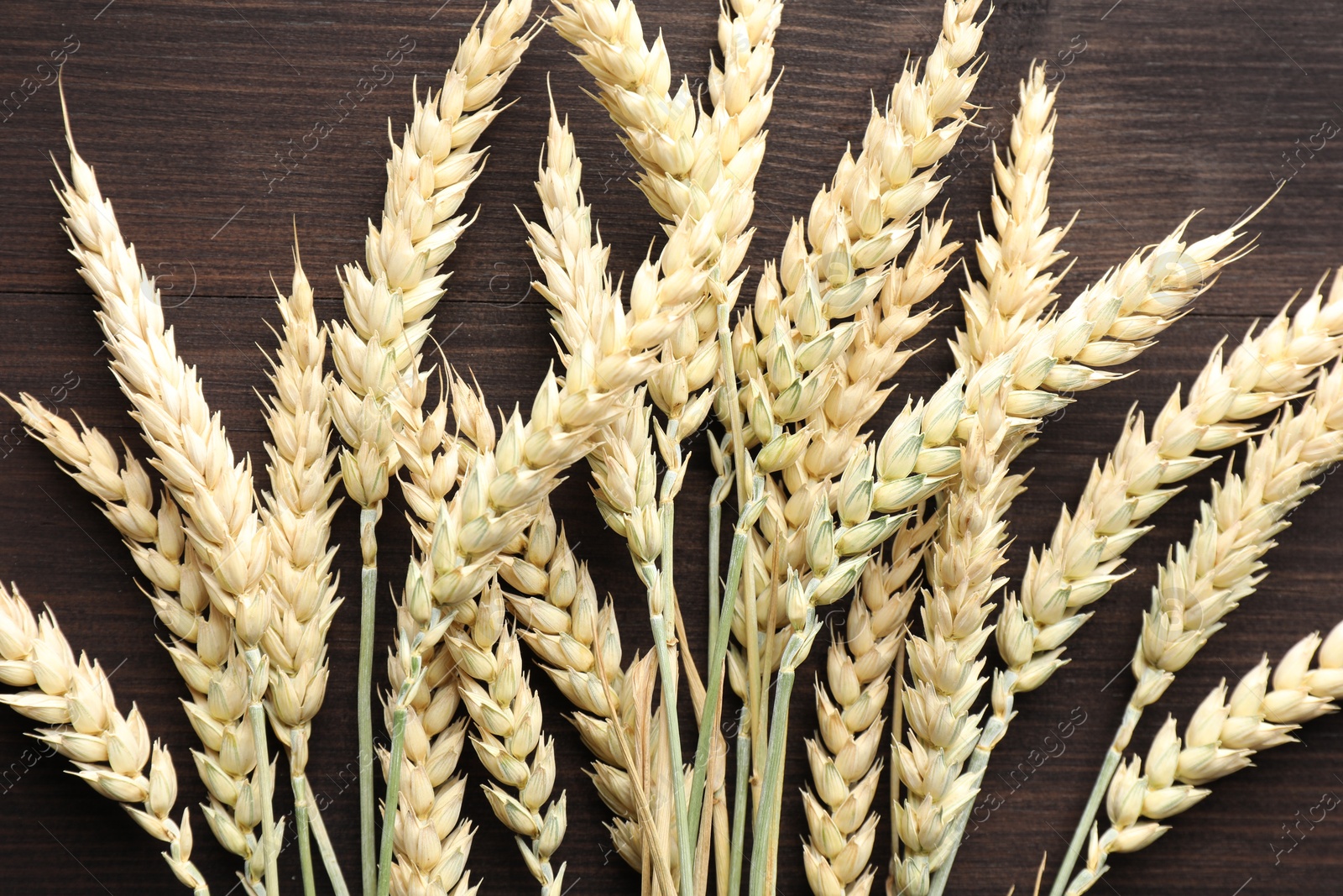 Photo of Many wheat spikes on wooden table, flat lay